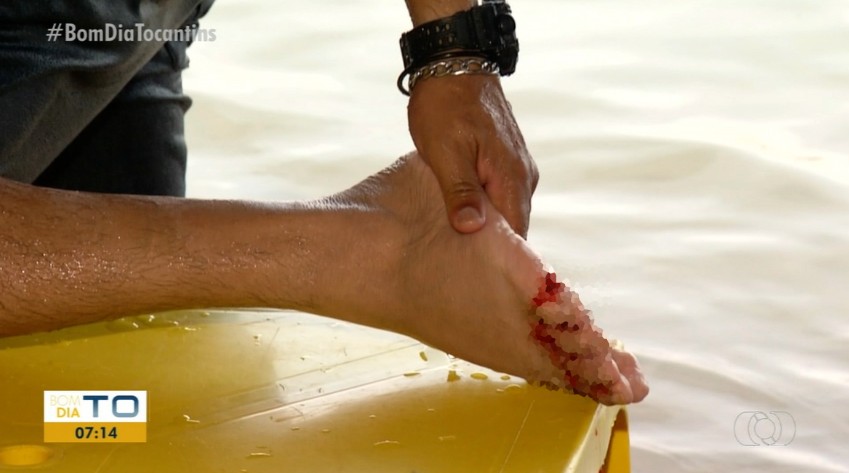 Banhistas são atacados por piranhas durante reportagem em praia de Palmas: