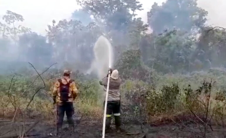alivio:-chuva-apaga-incendios-que-devastavam-o-pantanal