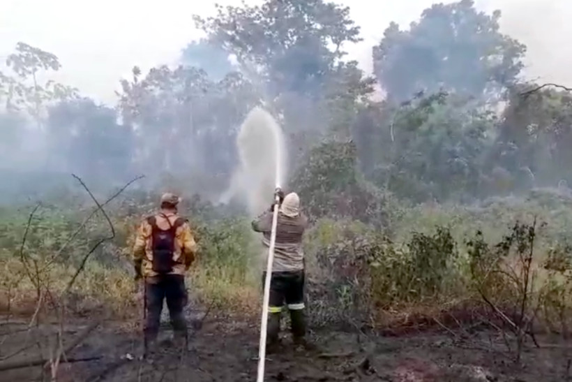 Alívio: chuva apaga incêndios que devastavam o Pantanal