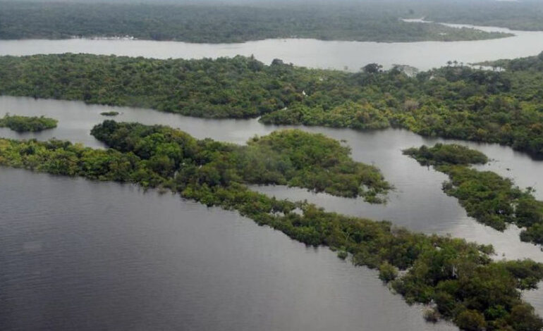 Senado aprova projeto que flexibiliza regularização de terras na Amazônia