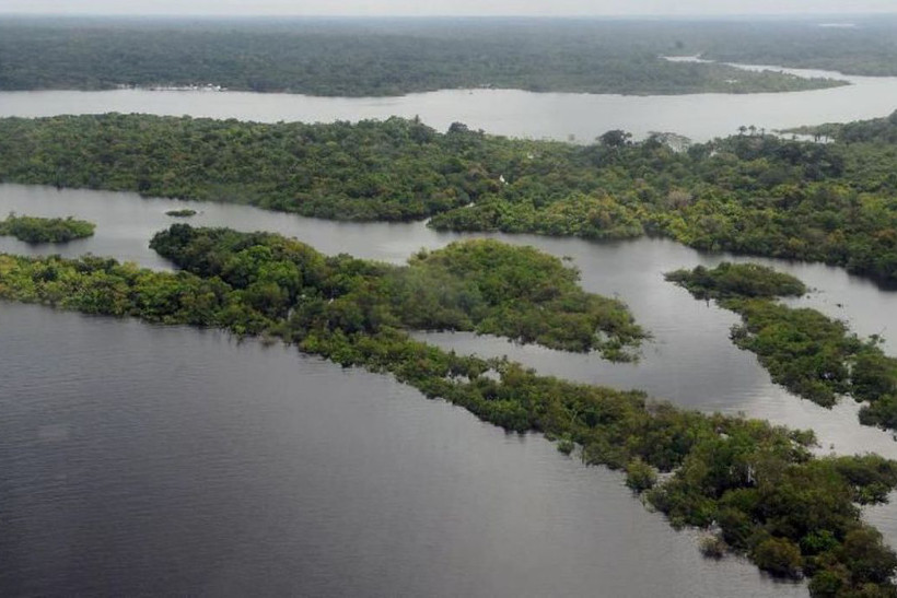 Senado aprova projeto que flexibiliza regularização de terras na Amazônia