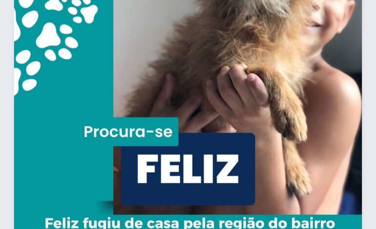 video-de-menino-pedindo-ajuda-para-encontrar-vira-lata-desaparecida-comove-na-internet: