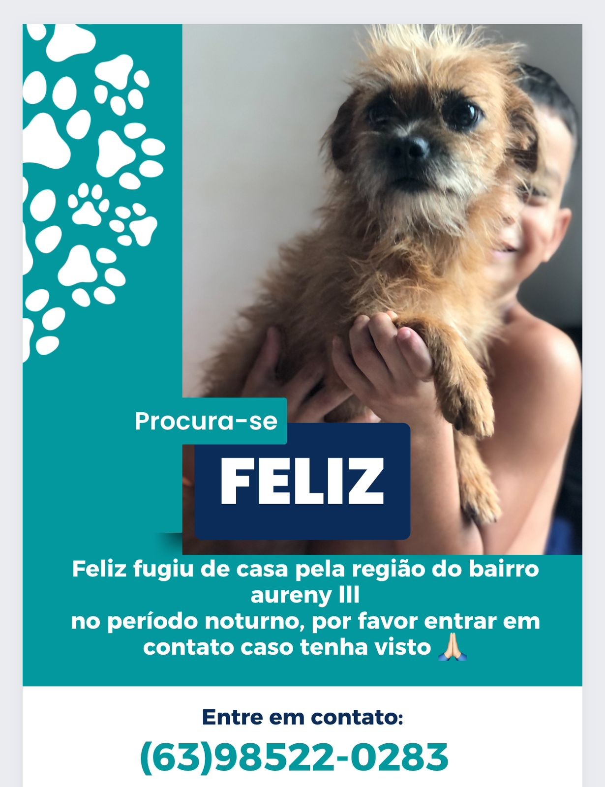 Vídeo de menino pedindo ajuda para encontrar vira-lata desaparecida comove na internet: