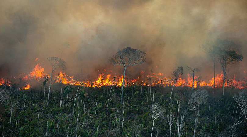 Queimadas: apenas três estados protocolaram projetos no Fundo Amazônia para combater incêndios
