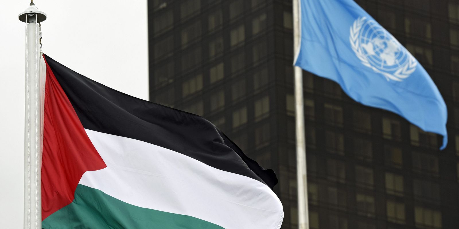 Dia de solidariedade ao povo palestino é celebrado hoje