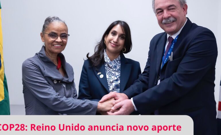 Reino Unido anuncia mais R$ 215 milhões para o Fundo Amazônia