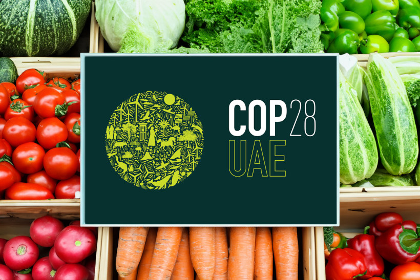 Países se comprometem a incluir agricultura e sistemas alimentares em metas climáticas