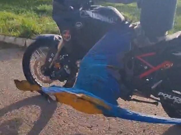 arara-surpreende-policiais-voando-entre-motos-durante-patrulhamento;-video