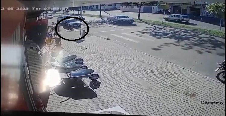 camera-registra-momento-em-que-cachorro-ataca-chihuahua-em-calcada-de-palmas;-assista