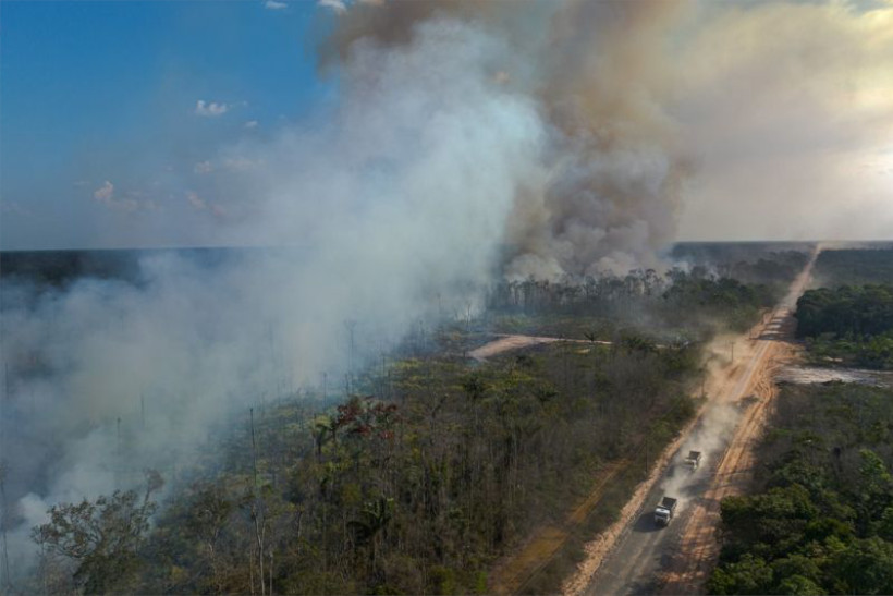 Cidades da BR-319 concentraram 40% das queimadas no Amazonas no auge da seca