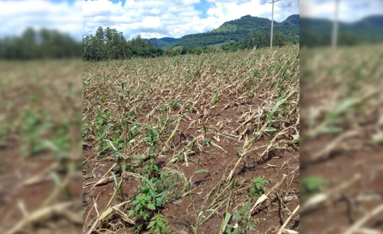 desastres-climaticos-causam-perdas-de-r$-28-bilhoes-no-sul