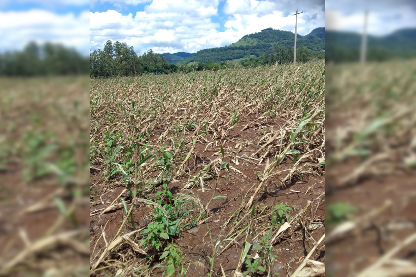 Desastres climáticos causam perdas de R$ 28 bilhões no Sul