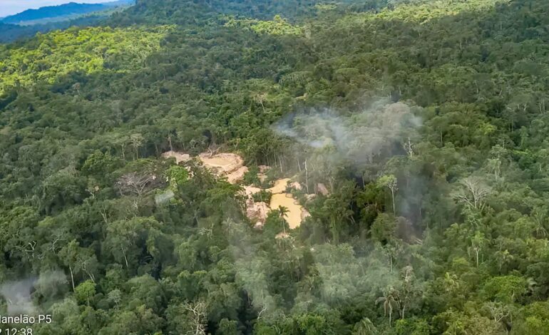 comissao-do-senado-aprova-porte-de-arma-a-agentes-da-funai