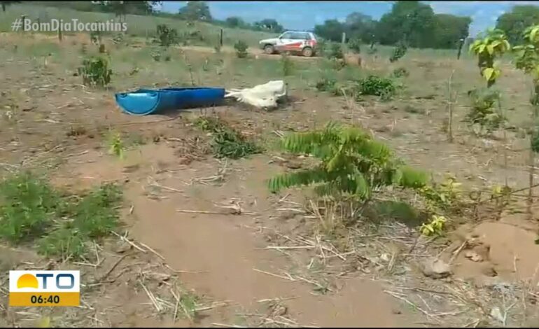 video:-bom-dia-tocantins-de-segunda-feira,-11-de-janeiro-de-2024