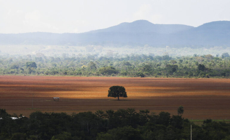 desmatamento-na-amazonia-cai-pela-metade-em-2023,-mas-o-cerrado-tem-disparada-de-devastacao