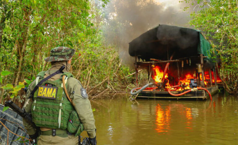 com-paralisacao-de-servidores-do-ibama,-emissao-de-multas-na-amazonia-cai-quase-93%