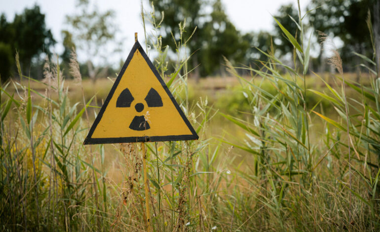 geracao-de-energia-nuclear-devera-bater-recorde-em-2025,-projeta-iea