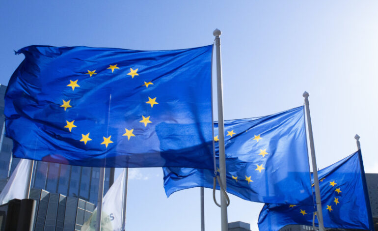 eleicoes-para-o-parlamento-europeu-podem-definir-futuro-das-politicas-climaticas-da-ue