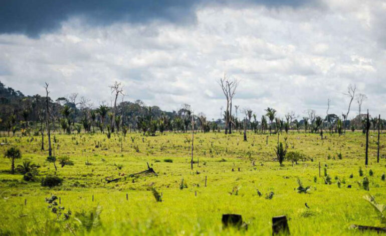 militares-foram-mais-caros-e-menos-eficientes-contra-desmate-na-amazonia
