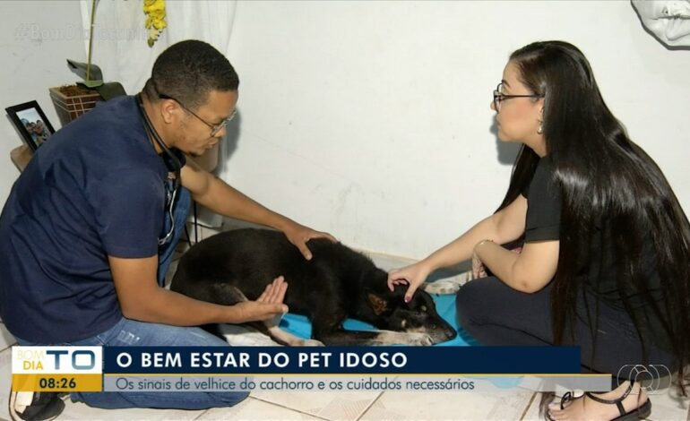 video:-bom-dia-tocantins-de-segunda-feira,-26-de-fevereiro-de-2024