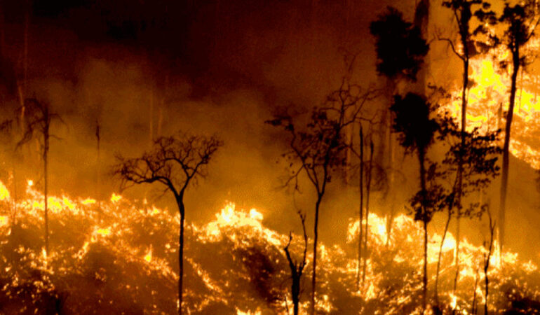 queimadas-disparam-no-brasil-e-fogo-na-amazonia-bate-recorde