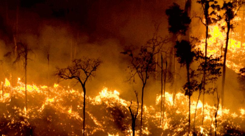 Queimadas disparam no Brasil e fogo na Amazônia bate recorde
