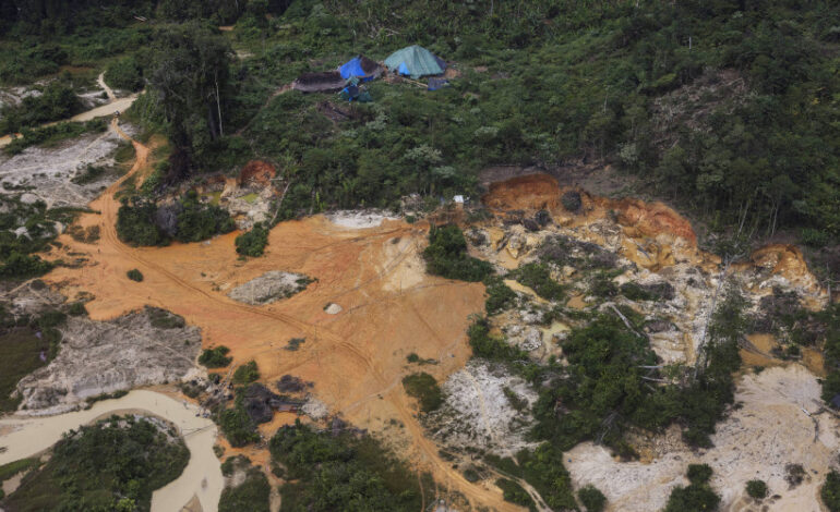 Lula cobra ação de ministérios contra crise humanitária e garimpo na Terra Yanomami