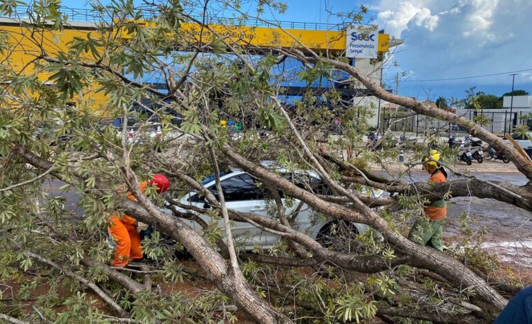 Árvores caem em cima de carros e derrubam motos durante chuva forte em Gurupi