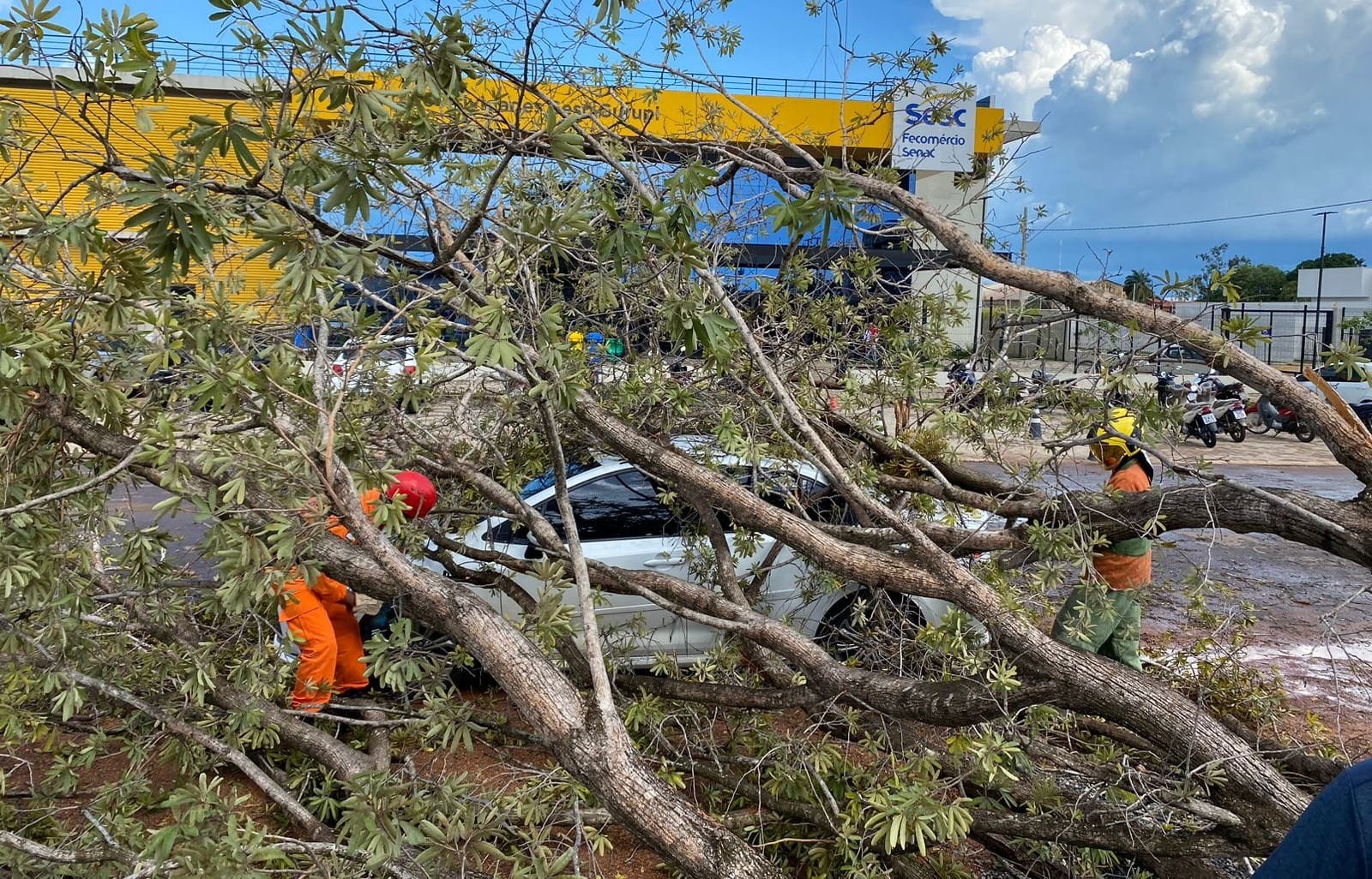 Árvores caem em cima de carros e derrubam motos durante chuva forte em Gurupi