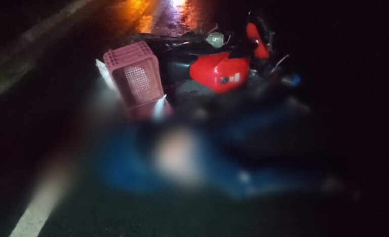 motociclista-morre-apos-bater-em-capivara-na-br-242