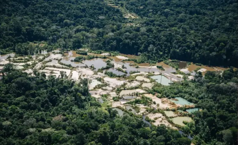 garimpo-devastou-4-campos-de-futebol-por-dia-em-terras-indigenas-em-2023