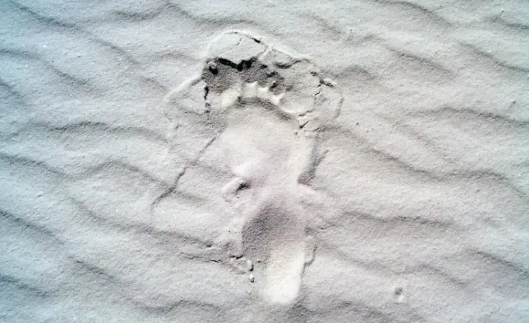 rejeicao-do-antropoceno-vira-“novela”-e-causa-comocao-entre-cientistas