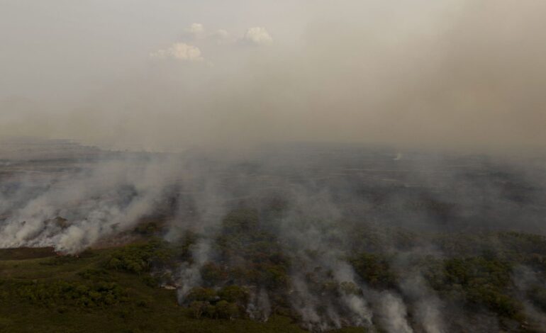 pl-que-muda-codigo-florestal-vai-desproteger-48-milhoes-de-hectares