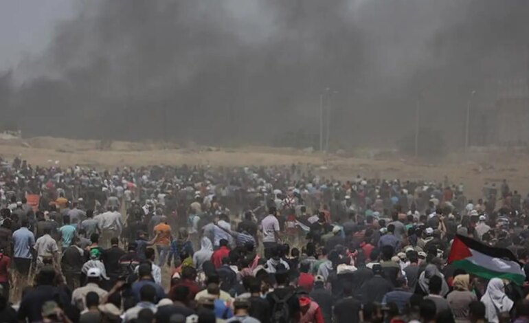 relatora-da-onu-diz-que-israel-comete-genocidio-na-faixa-de-gaza