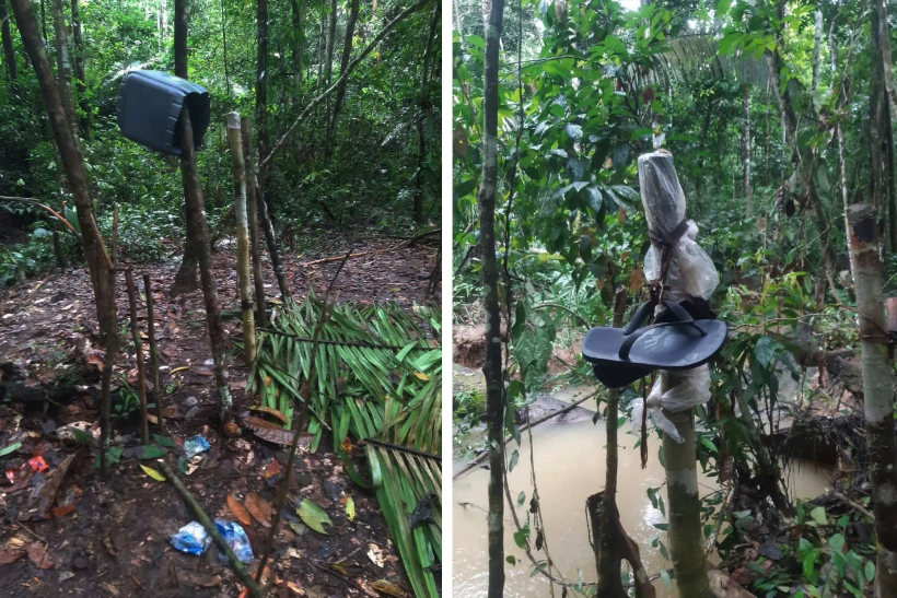 Invasores seguem ameaçando indígenas no Vale do Javari