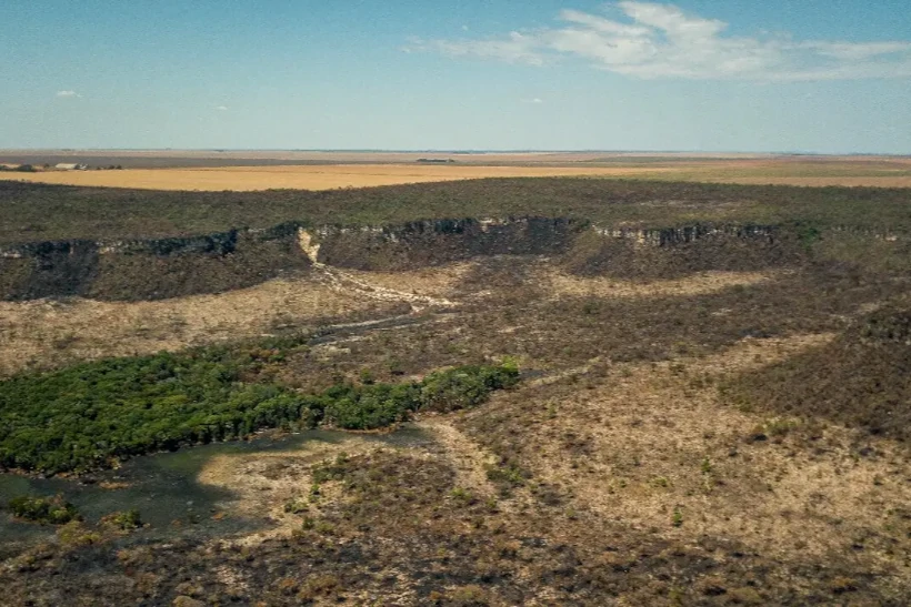 Novas ações e ferramentas no combate ao desmatamento na Amazônia e no Cerrado