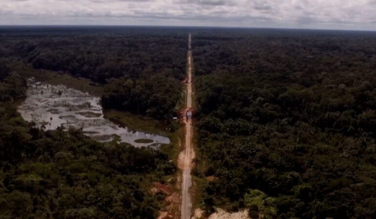 ministerio-dos-transportes-preve-cercas-e-passagens-para-animais-na-br-319