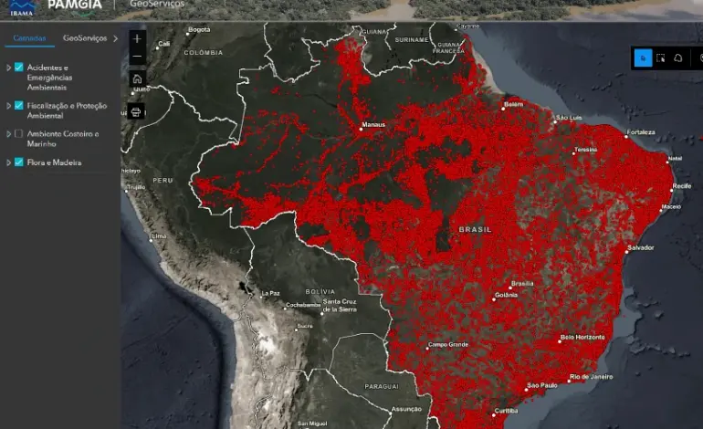 ibama-lanca-plataforma-com-dados-de-areas-degradadas-para-recuperacao