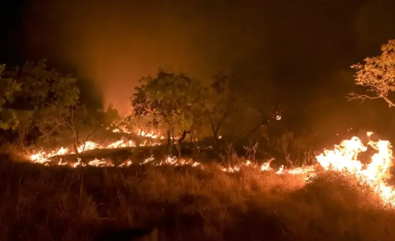 incendios-em-areas-de-floresta-madura-da-amazonia-cresceram-152%-em-2023