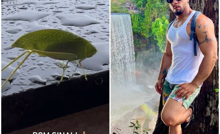 influencer-postou-video-mostrando