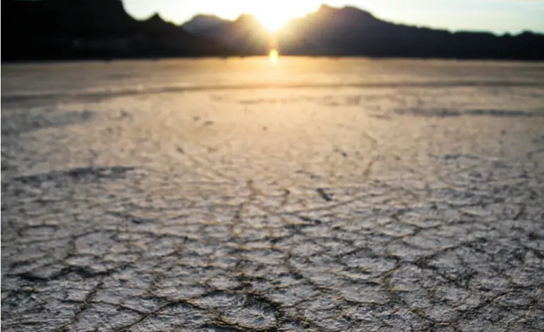 trocar-divida-por-natureza-pode-gerar-us$-100-bi-para-combate-a-crise-climatica