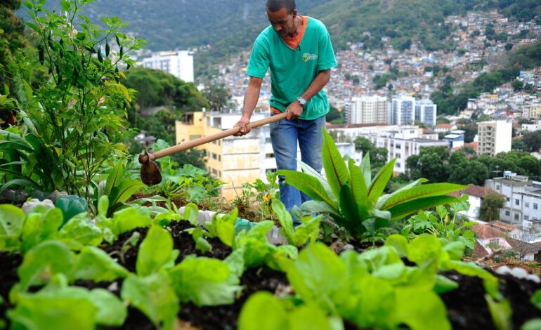 producao-local-pode-melhorar-alimentacao-em-centros-urbanos