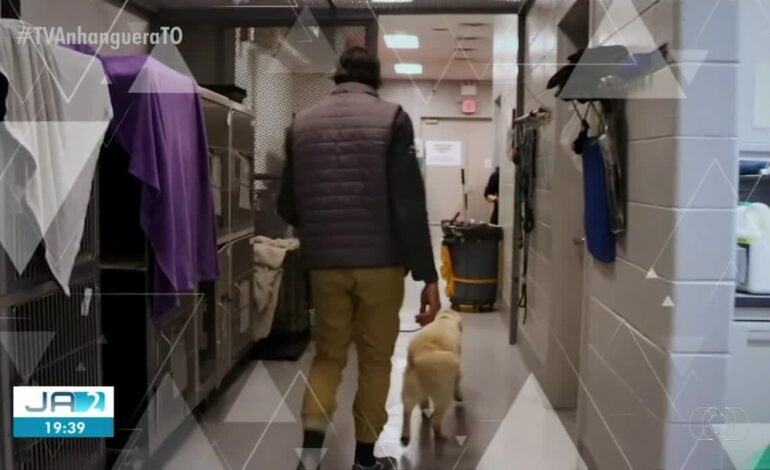 videos:-ja-2a-edicao-to-de-sabado,-27-de-abril-de-2024