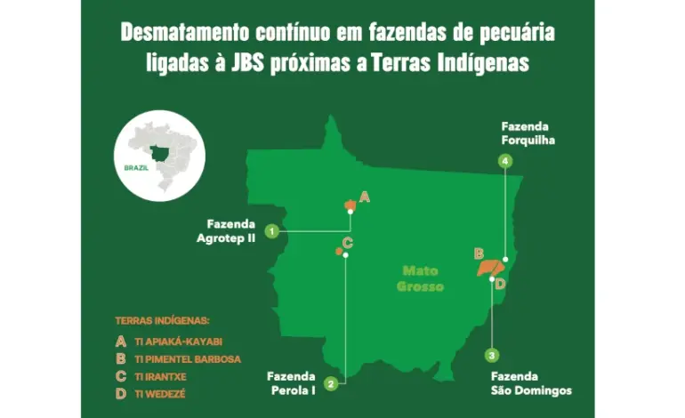 falta-de-acao-da-jbs-faz-desmatamento-aumentar-em-fazendas-de-gado-na-amazonia-e-no-cerrado