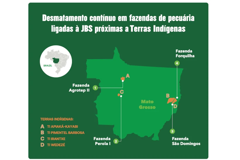 Falta de ação da JBS faz desmatamento aumentar em fazendas de gado na Amazônia e no Cerrado