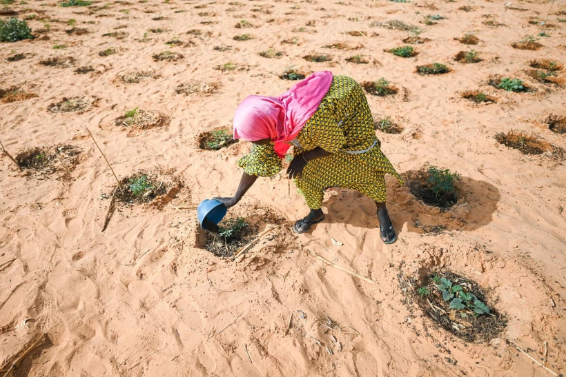 Agência da ONU cria fundo para ajudar refugiados e deslocados por mudanças climáticas
