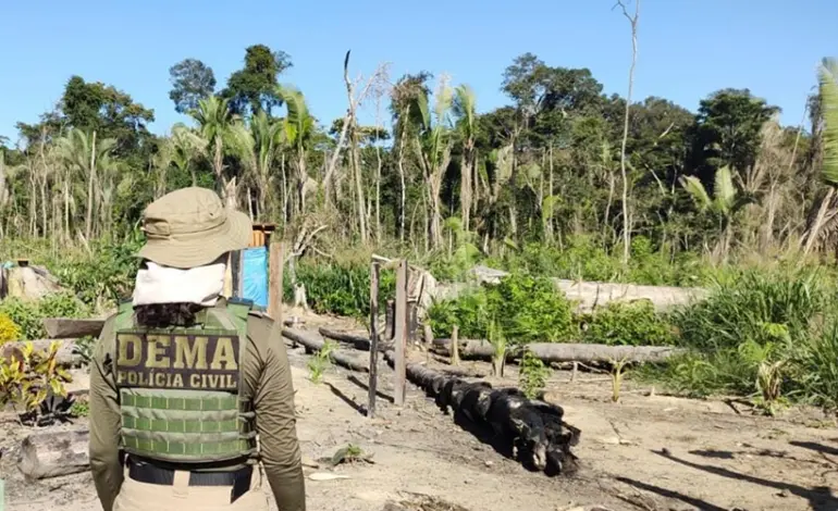 fazendeiro-que-pulverizou-agrotoxicos-no-pantanal-teve-financiamento-do-bb