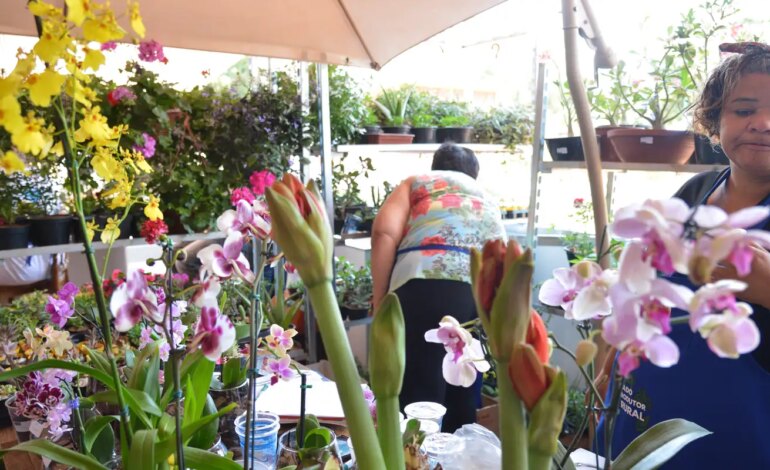 mei-tem-ate-esta-sexta-feira-prazo-para-entregar-declaracao-anual