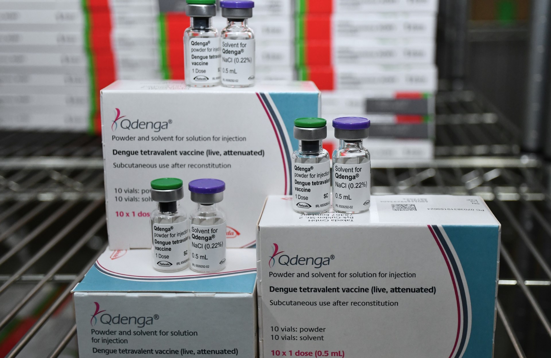Crianças de 10 e 11 anos podem receber segunda dose contra a dengue a partir desta semana