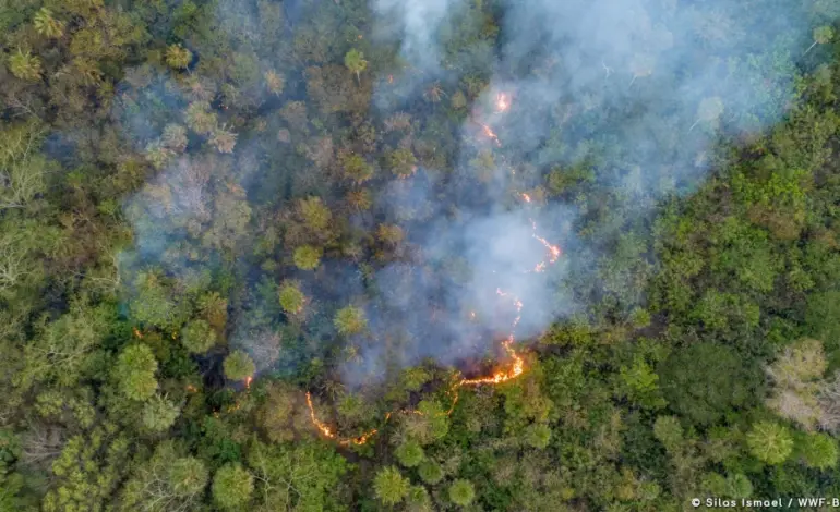 queimadas-no-pantanal-crescem-quase-900%-e-so-perdem-para-numeros-de-2020